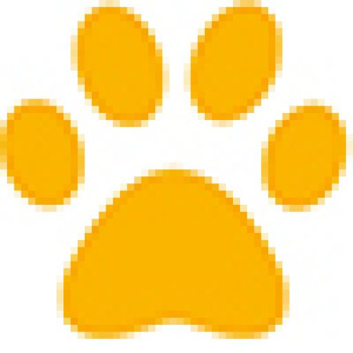 honey petshop