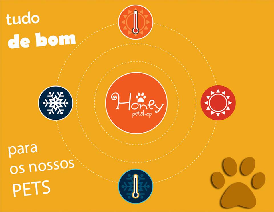 A importância de cuidar e amar os cachorros e gatos no momento do banho e tosa. 11