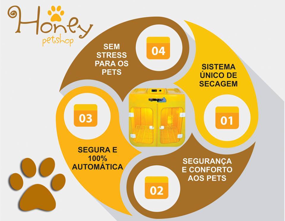 A importância de cuidar e amar os cachorros e gatos no momento do banho e tosa. 10