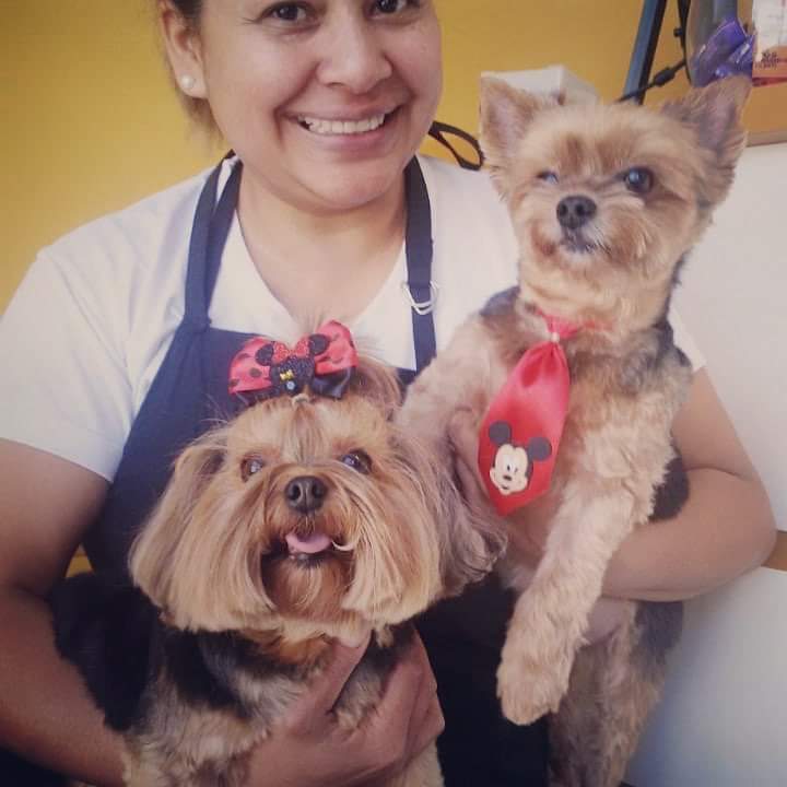 clientes da pet shop em caxias do sul