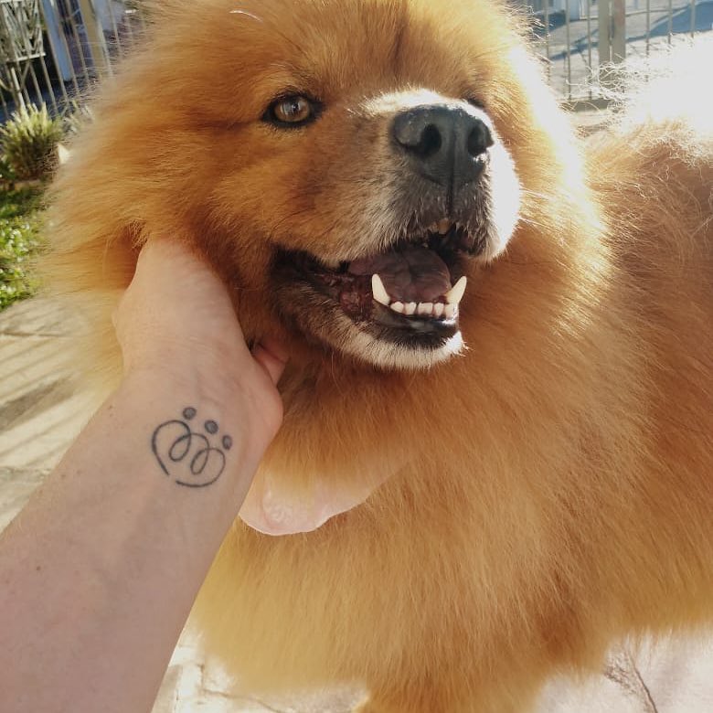 cliente mensalista na pet shop em caxias do sul