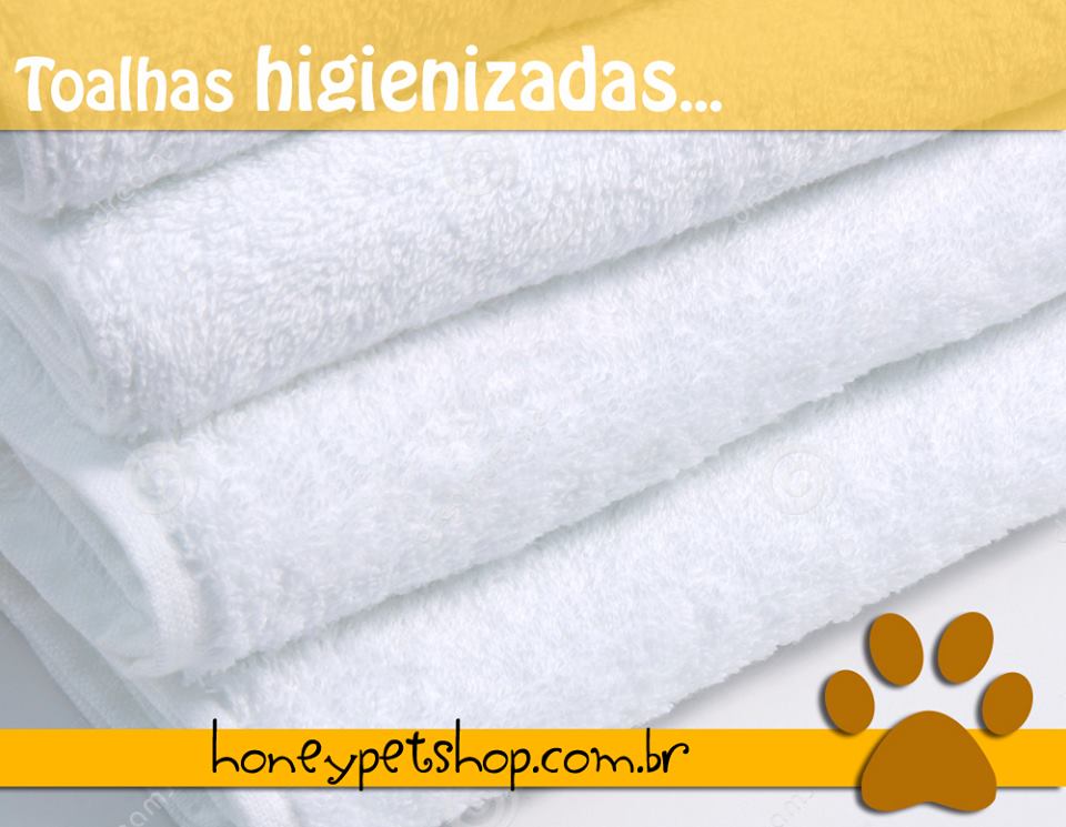 A importância de cuidar e amar os cachorros e gatos no momento do banho e tosa. 13