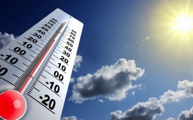 temperatura-alta-petshop