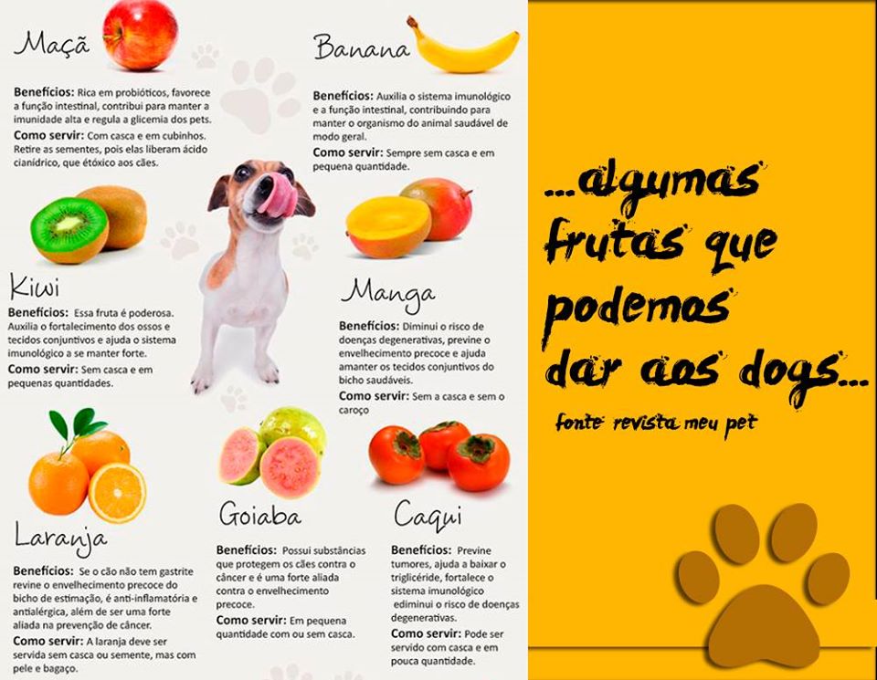 relação de frutas para os pets