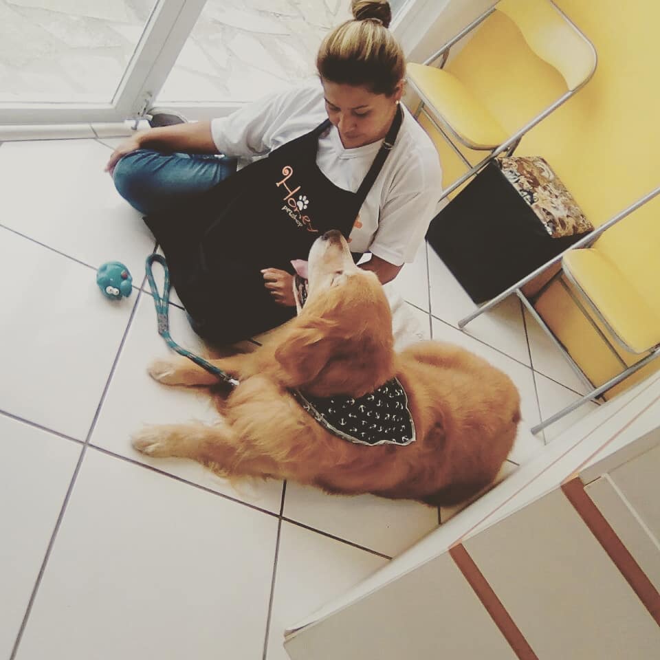 A importância de cuidar e amar os cachorros e gatos no momento do banho e tosa. 3