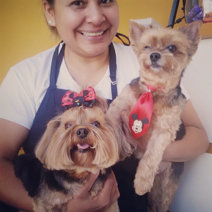 A importância de cuidar e amar os cachorros e gatos no momento do banho e tosa. 6