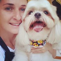 A importância de cuidar e amar os cachorros e gatos no momento do banho e tosa. 5