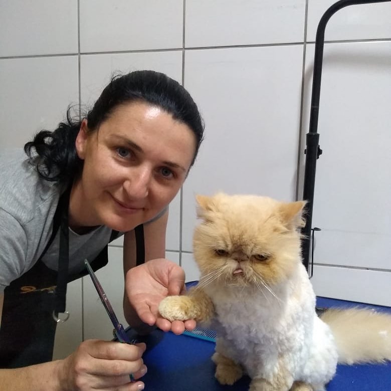 A importância de cuidar e amar os cachorros e gatos no momento do banho e tosa. 9