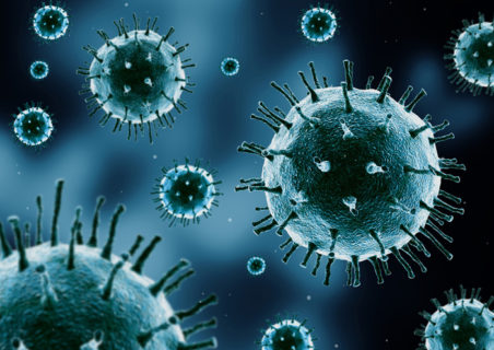 Você tem um PET em Caxias do Sul e tem dúvidas sobre como agir com ele neste momento de COVID-19? 25 Você tem um PET em Caxias do Sul e tem dúvidas sobre como agir com ele neste momento de COVID-19? 3