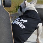 Camiseta Pet Shop