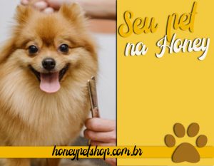Tosa da Raça