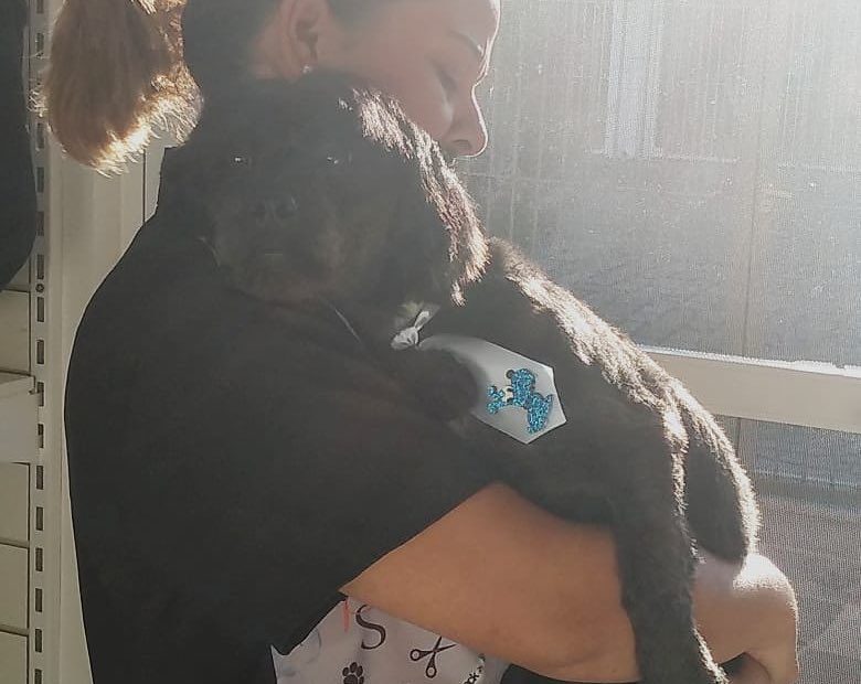 Qual é a raça de cachorro que vive mais tempo? 1
