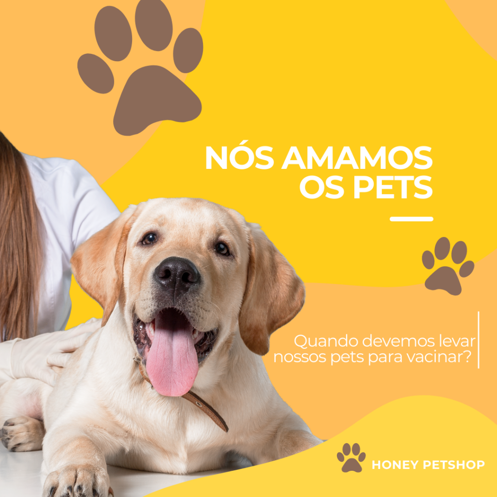 O momento certo para vacinar o seu pet. Busque o melhor atendimento veterinário ;) 1